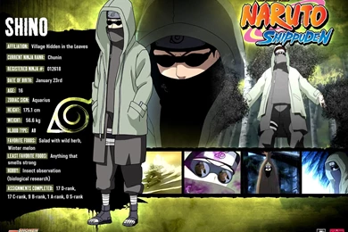 Kiba Shippuden Wallpapers   Wallpapers Cave