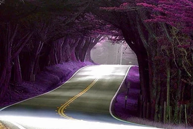 Free Download Nature Wallpapers