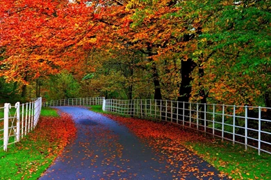 Most Beautiful Nature Wallpapers For Mobile – Wallpapers