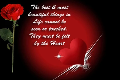 Wallpapers Hearts Roses Red Heart Rose For Love .4 1024x768 ...