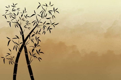 Free Bamboo Stock Background Images » Backgrounds Etc