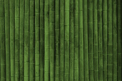 Bamboo Backgrounds Five