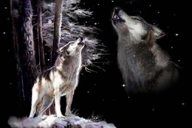 WOLF FANTASY WALLPAPER   (