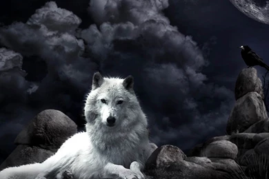 Night Wolf Fantasy Wallpapers