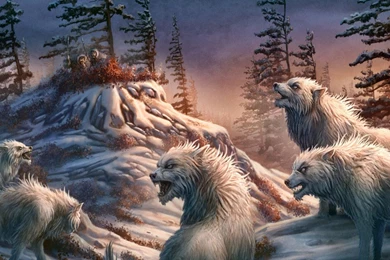 White wolf wallpapers
