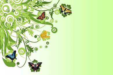 Butterfly Desing Hd Wallpapers   Free Hd Wallpapers