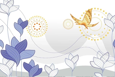 Flowers And Butterfly Designing On White Backgrounds Wallpapers