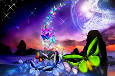 Colorful Butterfly Backgrounds