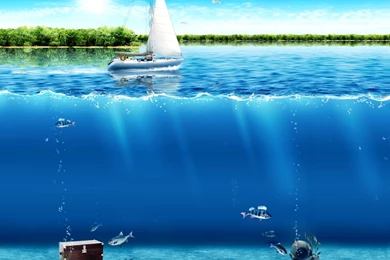 Free Downloadable HD Wildlife Animal Wallpapers For Desktop ...