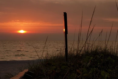 iMac 21.5" Wallpapers Page 159: Old Tree Big Evening Wide ...