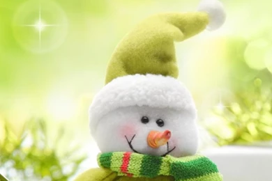 Cute Green Snowman 768x1280 Free Windows Phone Wallpapers   PetPictures