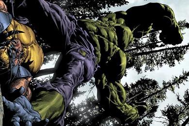 Hulk The Hulk Wolverine Fight HD Wallpaper,cartoon/comic HD ...