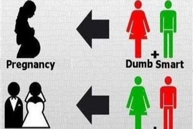 Funny Pictures 34 iPhone Wallpapers, iPhone 5(s)/4(s)/3G Wallpapers