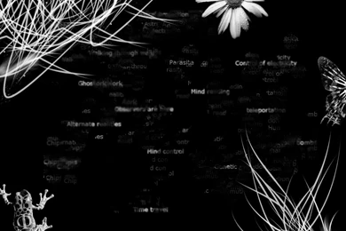 Dragoon's FRINGE Wallpapers