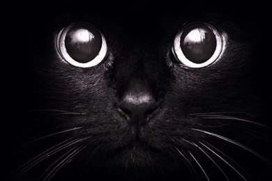 Fondos De Pantalla On Pinterest