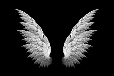 Angel Wings Iphone Wallpapers Black And White