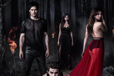 The Vampire Diaries Season 5 2013 Wallpapers