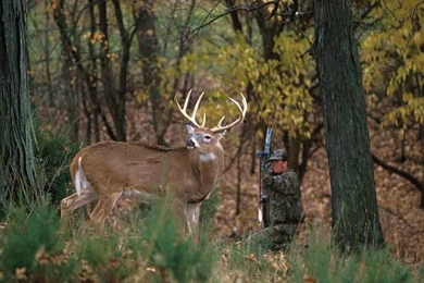 Deer Hunting Wallpapers   Wallpapers Zone