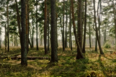 Dual Monitor Wallpapers 3360x1050   (