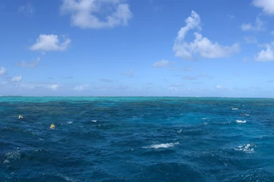 Browsing Wallpapers On DeviantArt