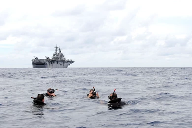 File:US Navy 091023 N 0890S 090 Search And Rescue Swimmers From ...