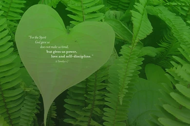 2 Timothy 1:7   Power, Love And Self discipline Wallpapers ...