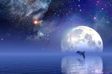 Bright Moon Live Wallpapers – Android Apps On Google Play