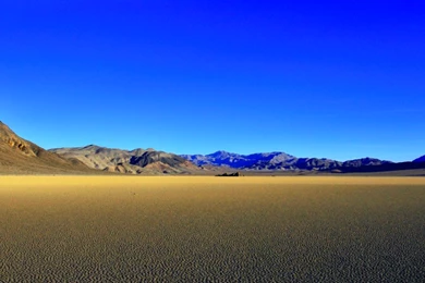 Racetrack Playa   Elephas Maximus