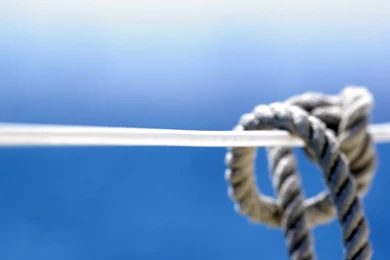 Desktop Wallpapers · Gallery · Computers · Marine Science