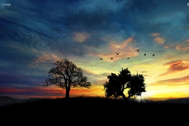 Day Night Live Wallpapers (All)   Android Apps On Google Play