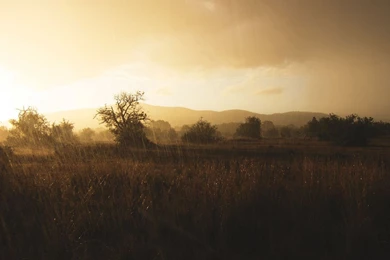 Gallery For > Beautiful Rainy Day Wallpapers