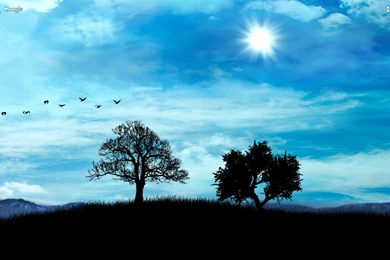 Day Night Live Wallpapers (All)   Android Apps On Google Play