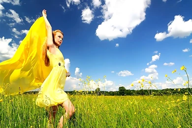 Summer Day Wallpapers   Crazy Frankenstein