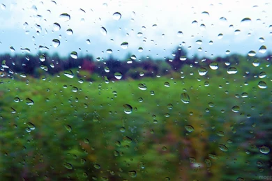 Rainy Day Wallpapers Series 4 Out Of 7 By MOGGGET On DeviantArt