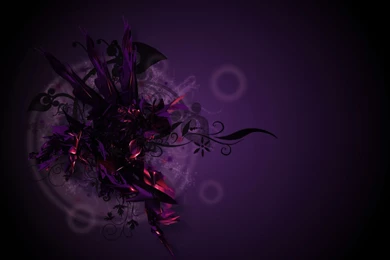 Wallpapers For Windows