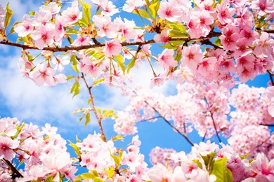 8 Under The Radar Natural Beauty Brands