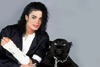 Michael Jackson Wallpaper High Definition.jpg