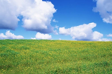 For Notebook Widescreen LCD Monitor   HD Beautiful Landscape ...