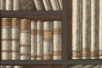 Patterned Wallpapers / Bookshelf / Paper / Traditional   FORNASETTI ...