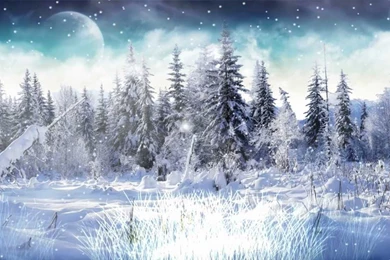 Winter Snow Animated Wallpapers Http://www.desktopanimated.com ...