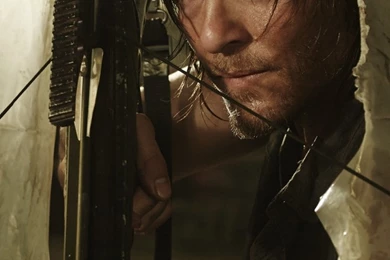 iPhone 6   TV Show/The Walking Dead   Wallpapers ID: 138787