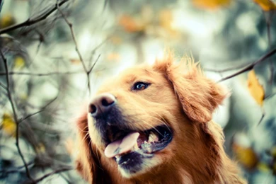 Baby Animals   Page 13