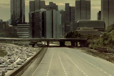 Walking Dead iPhone 5 Wallpapers