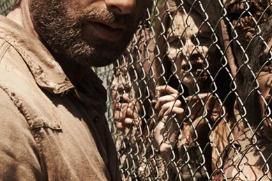iPhone 6   TV Show/The Walking Dead   Wallpapers ID: 614614