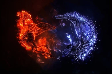 Blue Phoenix Wallpapers 3   Wallpapers Z