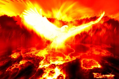 Phoenix Pictures   Phoenix Myth Bird Photos Gallery