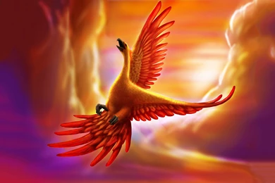 Golden Phoenix Wallpapers