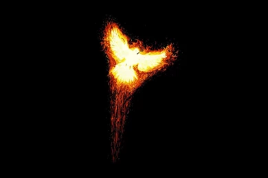 Phoenix Wallpapers » WallDevil   Best Free HD Desktop And Mobile ...
