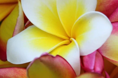 Iphone Lock Screen Wallpapers