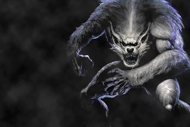 Download Wallpapers 1920x1080 Werewolf, Wolf, Jump, Fog Full HD ...